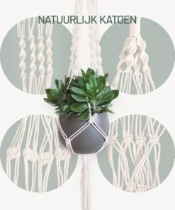Gadgy Plantenhanger Macramé 3 Stuks - Luxe Gevlochten Touw Katoen - Plantenpot Ophangen - Hangpot 13 Gadgy Plantenhanger Macramé 3 Stuks - Luxe Gevlochten Touw Katoen - Plantenpot Ophangen - Hangpot -Tuinverzorgings Winkel 1000x1200 6