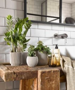 Capi Europe - Set Van 4 - Bloempot Binnen - Groove - - Ivoor - Bloempot Voor Binnen - BOX-BGVI-4 -Tuinverzorgings Winkel 1005x1200 1