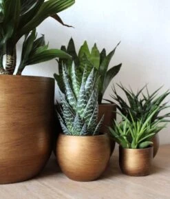 Capi Europe - Bloempot Bol Retro XL - 42x41 - Goud - Bloempot Voor Binnen - Opening ⌀36 - RTG933 -Tuinverzorgings Winkel 1024x1200 3