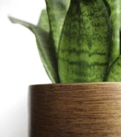 Capi Europe - Bloempot Bol Retro XL - 42x41 - Goud - Bloempot Voor Binnen - Opening ⌀36 - RTG933 -Tuinverzorgings Winkel 1061x1200 1