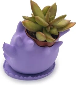 Azhora Pokémon Gengar Bloempot - Inclusief Opvangschaal - Lichtpaars -Tuinverzorgings Winkel 1069x1200