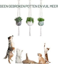 Gadgy Plantenhanger Macramé 3 Stuks - Luxe Gevlochten Touw Katoen - Plantenpot Ophangen - Hangpot 16 Gadgy Plantenhanger Macramé 3 Stuks - Luxe Gevlochten Touw Katoen - Plantenpot Ophangen - Hangpot -Tuinverzorgings Winkel 1080x1200 1