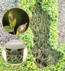 Topbuxus Buxus Health Mix -Tuinverzorgings Winkel 1089x1200
