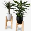 Plantenstandaard | Set Van 2 | Diameter Tot 24 Cm | Plantenkruk | Bloempotten Voor Binnen | Plantentafeltje Voor Binnen | Bloempot Standaard | Plantenstandaard Binnen | Hout | Licht Bruin 2 Plantenstandaard | Set Van 2 | Diameter Tot 24 Cm | Plantenkruk | Bloempotten Voor Binnen | Plantentafeltje Voor Binnen | Bloempot Standaard | Plantenstandaard Binnen | Hout | Licht Bruin -Tuinverzorgings Winkel 1111x1200 1