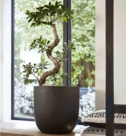 Capi Europe - Bloempot Bol Smooth NL - 35x34 - Zwart - Voor Binnen En Buiten - KBL932 -Tuinverzorgings Winkel 1116x1200 1