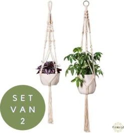 Plantenhanger - Plantenhanger Macrame - Set Van 2 - Wit - Knopen - Luxe Gevlochten Touw - Met Ophang Haken - Fienosa -Tuinverzorgings Winkel 1118x1200 3