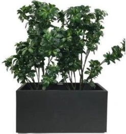 Elho Vivo Matt Finish Lang Wielen 90 - Grote Staande Plantenbak Voor Binnen & Buiten - Gemaakt Van Gereycled Plastic - L 39 X W 88 X H 41 Cm - Zwart 16 Elho Vivo Matt Finish Lang Wielen 90 - Grote Staande Plantenbak Voor Binnen & Buiten - Gemaakt Van Gereycled Plastic - L 39 X W 88 X H 41 Cm - Zwart -Tuinverzorgings Winkel 1124x1200 2
