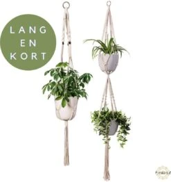 Plantenhanger Macrame Set Van 2 - Plantenhanger Met Ruimte Voor 3 Potten - Luxe Gevlochten Touw 100% Katoen - Duurzaam - Plantenbakken - Bloempotten - Macramé Stijl Hanger Voor Bloempotten - Hangpot - Fienosa 10 Plantenhanger Macrame Set Van 2 - Plantenhanger Met Ruimte Voor 3 Potten - Luxe Gevlochten Touw 100% Katoen - Duurzaam - Plantenbakken - Bloempotten - Macramé Stijl Hanger Voor Bloempotten - Hangpot - Fienosa -Tuinverzorgings Winkel 1131x1200 2