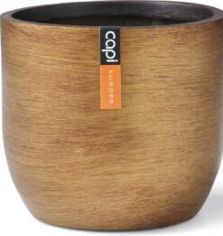 Capi Europe - Bloempot Bol Retro - 23x21 - Goud - Bloempot Voor Binnen - BRTG134 -Tuinverzorgings Winkel 1131x1200 4