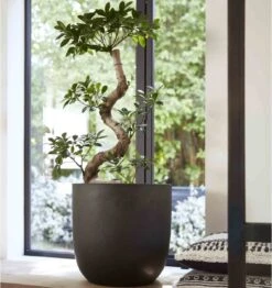 Capi Europe - Bloempot Bol Smooth NL - 43x41 - Zwart - Voor Binnen En Buiten - KBL933 -Tuinverzorgings Winkel 1132x1200 14