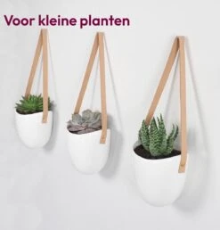 Gadgy Plantenhanger Keramiek - Set Van 3 - Hangpot Van Wit Steen - Hangende Bloempot Plantenpot - Met 3 Verschillende Koorden - 12x11x9.5CM -Tuinverzorgings Winkel 1149x1200 2