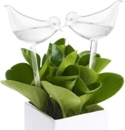 Luxe Planten Waterdruppelaar - Waterbol Vogel - Watergever - Watergeefsysteem Voor Planten & Bloemen - 200ML - Set Van 2 -Tuinverzorgings Winkel 1160x1200