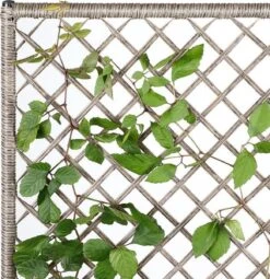 Casaria Polyrattan Bloembak – 3 Bakken Klimophek - Crème -Tuinverzorgings Winkel 1163x1200 2