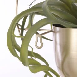 Mica Decorations Dexter Bloempot Wand - L34 X B14 X H34 Cm - Goud -Tuinverzorgings Winkel 1189x1200 7