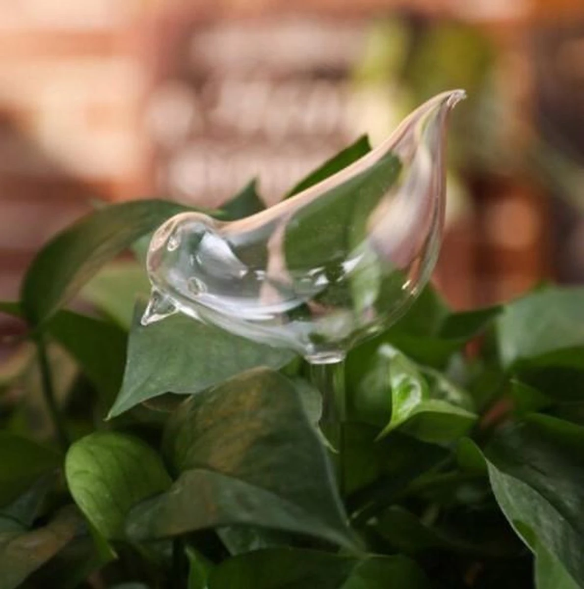 Waterdruppelaar Planten - Vorm Vogel - Set Van 3 Kunststof Druppelaars - 25cm Lengte - Genoeg Water Tijdens Je Vakantie 5 Waterdruppelaar Planten - Vorm Vogel - Set Van 3 Kunststof Druppelaars - 25cm Lengte - Genoeg Water Tijdens Je Vakantie - Afbeelding 3