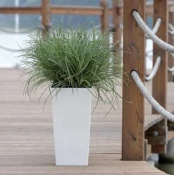 Prosperplast Kunststof Urbi Bloempot/plantenpot Met Binnenpot Wit 32 X 32 X 61 Cm - 21/49 Liter - Hoge Vierkante Bloempotten -Tuinverzorgings Winkel 1194x1200 1