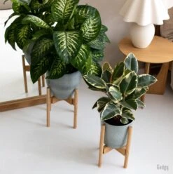 Gadgy Bamboe Plantenstandaard 2 St - Plantentafel - Plantentafeltje Voor Binnen - Plantenrek - Uitschuifbaar - Hout - Ø 20 Tot 30 Cm -Tuinverzorgings Winkel 1197x1200 11