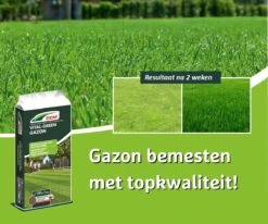 DCM Vital-Green Gazon - Gazonmest - Gazonmeststof Met MINIGRAN® Technology - 75m2 - 3 Kg 7 DCM Vital-Green Gazon - Gazonmest - Gazonmeststof Met MINIGRAN® Technology - 75m2 - 3 Kg -Tuinverzorgings Winkel 1200x1000