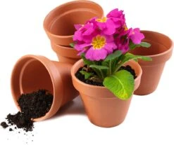 Garden Mania - 12 Mini Terracotta Keramische Klei Bloempotten Met Afvoergat, 8cm