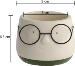 2x Bloempot Met Gezicht - Ø8 X H6,5 Cm - Bloempotten Voor Binnen Met Bril/Face/Hoofd -Tuinverzorgings Winkel 1200x1045