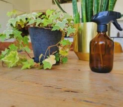24DOTS Living Plantenspuit | 300 Ml Bruin Amber Glas | Plantensproeier | Plantenspuit Binnen | Waterverstuiver | Vernevelaar -Tuinverzorgings Winkel 1200x1051