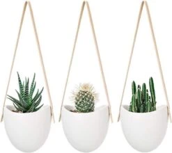 Merkloos Plantenhanger Keramiek – Set Van 3 – Steen- Hangpot – Hangende Bloempot Plantenpot Met 3 Verschillende Koorden – 12 X 11 X 9.5 Cm