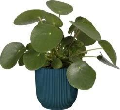 Elho Vibes Fold Rond 22 - Bloempot Voor Binnen - Ø 22.0 X H 20.2 Cm - Diepblauw -Tuinverzorgings Winkel 1200x1094 2