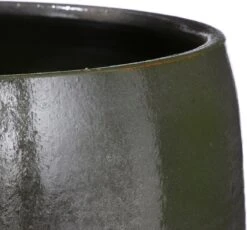 Mica Decorations Lester Bloempot - H22 X Ø24 Cm - Terracotta - Groen -Tuinverzorgings Winkel 1200x1117 3