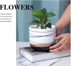 Bloempotten Binnen - Keramiek - Gouden Rand - Bloempot Buiten - Afvoergat 24 Cm - Groen – Groot -Tuinverzorgings Winkel 1200x1118 2