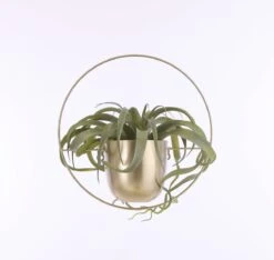 Mica Decorations Dexter Bloempot Wand - L34 X B14 X H34 Cm - Goud -Tuinverzorgings Winkel 1200x1137 1