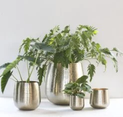 Gina Da - Bloempot - Karakter - Goud - Metaal - 15 Cm Hoog 12 Gina Da - Bloempot - Karakter - Goud - Metaal - 15 Cm Hoog -Tuinverzorgings Winkel 1200x1142 1