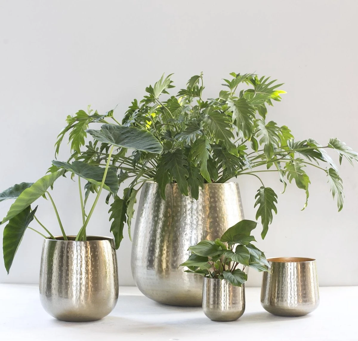 Gina Da - Bloempot - Karakter - Goud - Metaal - 15 Cm Hoog 6 Gina Da - Bloempot - Karakter - Goud - Metaal - 15 Cm Hoog - Afbeelding 4