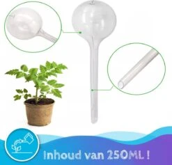 Summer Spark Waterdruppelaar Voor Planten 6 Stuks Transparant – 27 CM X 8 CM – 250 ML – Automatisch Watergeefsysteem Voor Kamerplanten – Planten Watergever Met Druppelsysteem – Waterbol -Tuinverzorgings Winkel 1200x1153