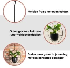 QUVIO Bloempot Hangend / Bloempotten Voor Binnen / Bloempotten / Bloempot Binnen / Bloempot Met Ophanghaak - Metaal 16 QUVIO Bloempot Hangend / Bloempotten Voor Binnen / Bloempotten / Bloempot Binnen / Bloempot Met Ophanghaak - Metaal -Tuinverzorgings Winkel 1200x1163 5