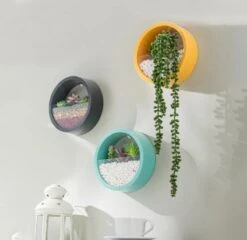 Ronde Muur Plantenbak Zwart - Decoratie - Planten - Interieur - Bloemen - Woondecoratie - Muurbekleding - -Tuinverzorgings Winkel 1200x1167 4
