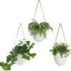 Gadgy Plantenhanger Keramiek - Set Van 3 - Hangpot Van Wit Steen - Hangende Bloempot Plantenpot - Met 3 Verschillende Koorden - 12x11x9.5CM -Tuinverzorgings Winkel 1200x1172 3