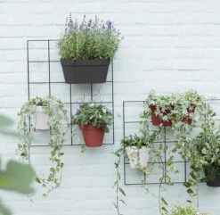 Elho Loft Urban Green Wall Rek 48 - Accessoires Voor Buiten - Ø 47.3 X H 59.0 Cm - Zwart/Living Black 13 Elho Loft Urban Green Wall Rek 48 - Accessoires Voor Buiten - Ø 47.3 X H 59.0 Cm - Zwart/Living Black -Tuinverzorgings Winkel 1200x1173 3