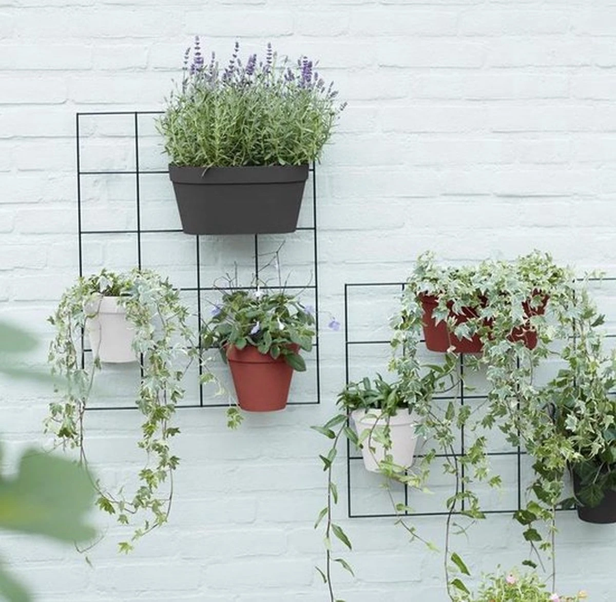 Elho Loft Urban Green Wall Rek 48 - Accessoires Voor Buiten - Ø 47.3 X H 59.0 Cm - Zwart/Living Black 4 Elho Loft Urban Green Wall Rek 48 - Accessoires Voor Buiten - Ø 47.3 X H 59.0 Cm - Zwart/Living Black - Afbeelding 3