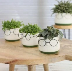 2x Bloempot Met Gezicht - Ø8 X H6,5 Cm - Bloempotten Voor Binnen Met Bril/Face/Hoofd -Tuinverzorgings Winkel 1200x1178 2