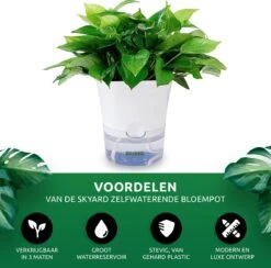 SKYARD® 3 Stuks Zelfwaterende Bloempot Maat M – Milieuvriendelijk Watergeefsysteem Kamerplanten – Zelfwatergevende Pot – Bloempot Met Waterreservoir – Selfwatering Pot – Wit -Tuinverzorgings Winkel 1200x1183 3