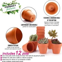 Garden Mania - 12 Mini Terracotta Keramische Klei Bloempotten Met Afvoergat, 8cm -Tuinverzorgings Winkel 1200x1189 1