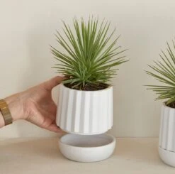 Riviera Maison Plantenbak Rond, Bloempot Met Ribbel - RM Let It Grow Planter - Wit - Porselein - Maat S -Tuinverzorgings Winkel 1200x1191 12