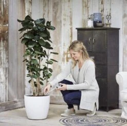 Elho Aqua Care 9 - Accessoires Voor Binnenaccessoires - Ø 17.3 X H 32.0 Cm - Transparant/Transparant -Tuinverzorgings Winkel 1200x1193 6