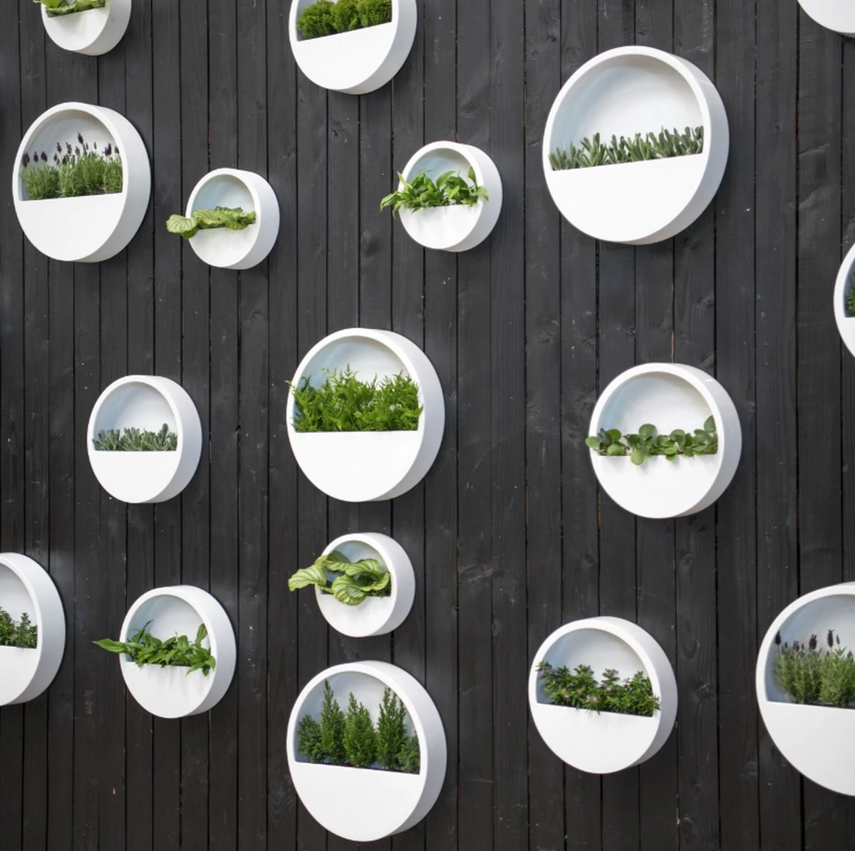 Langwerpige Witte Bloempot Van Naturn Living | Plantenbak | Bloempotten Voor Binnen En Buiten | Wit 5 Langwerpige Witte Bloempot Van Naturn Living | Plantenbak | Bloempotten Voor Binnen En Buiten | Wit - Afbeelding 3