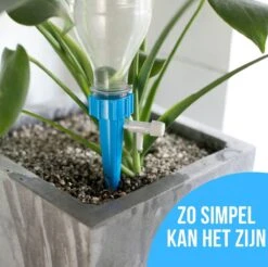 12 Stuks Plant Bewateringssysteem | Waterdruppelaar | Druppelsysteem |Bewateringssysteem | Bewateringsyteem Watergeefsysteem | Plantenbol | Automatische Gieter | Water Druppelaar | Druppel Systeem | Water Geef Systeem | Plantenbol | -Tuinverzorgings Winkel 1200x1196 1