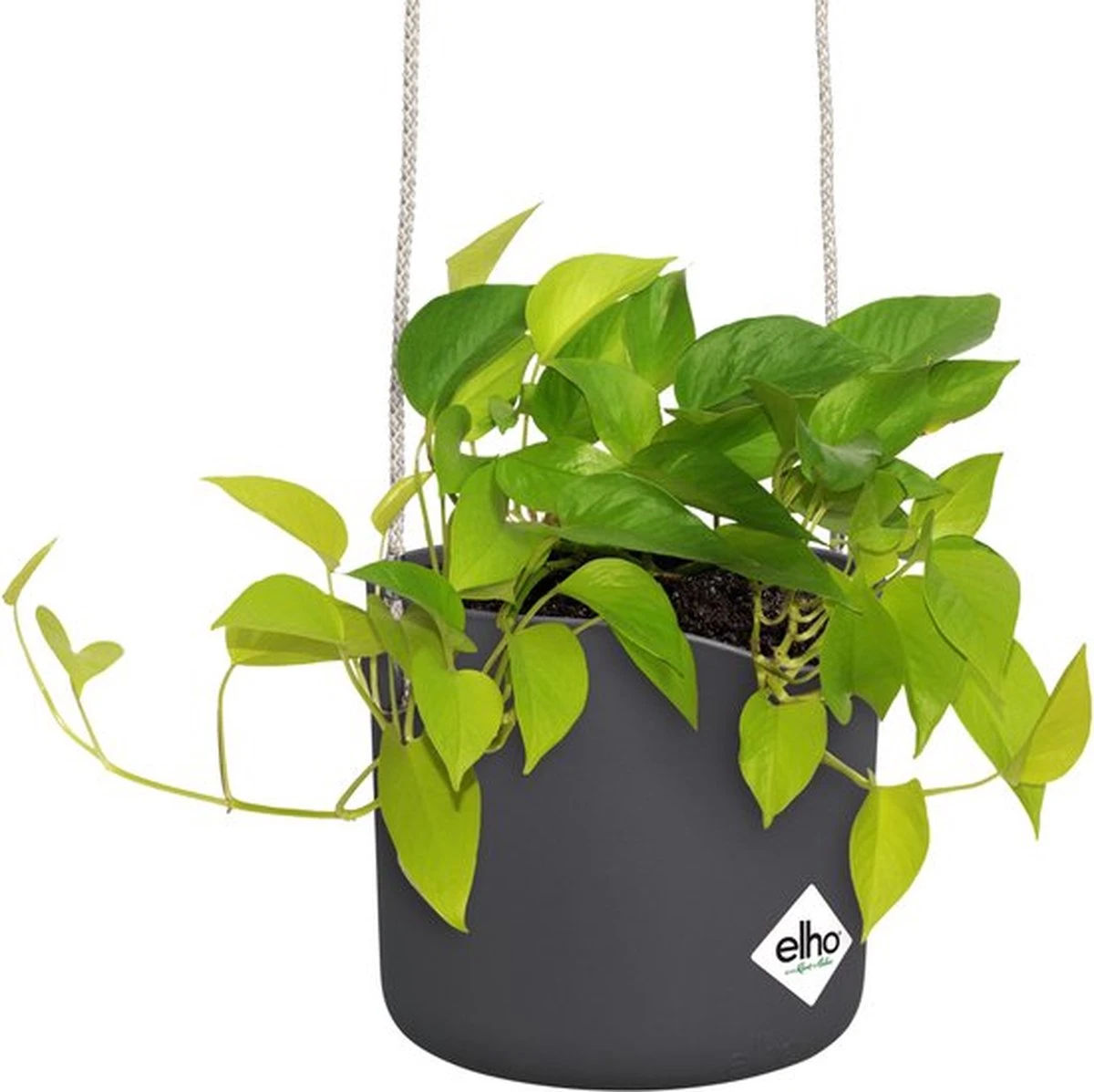 Elho B.for Swing 18 Hangpot - Bloempot Voor Binnen - Ø 18.0 X H 16.5 Cm - Zwart/Antraciet 11 Elho B.for Swing 18 Hangpot - Bloempot Voor Binnen - Ø 18.0 X H 16.5 Cm - Zwart/Antraciet - Afbeelding 9