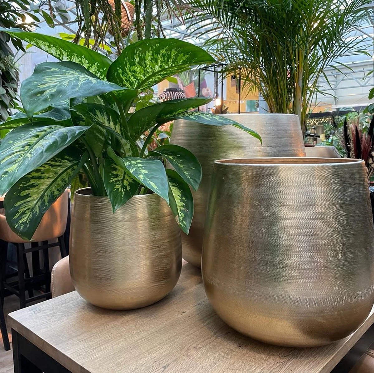 Merkloos Karakter Pot Alu Neo Gold ø40x40cm 4 Merkloos Karakter Pot Alu Neo Gold ø40x40cm - Afbeelding 2