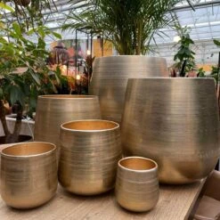 Merkloos Karakter Pot Alu Neo Gold ø40x40cm 9 Merkloos Karakter Pot Alu Neo Gold ø40x40cm -Tuinverzorgings Winkel 1200x1198 19