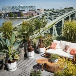 Elho Greenville Rond 30 - Grote Bloempot Voor Buiten - Gemaakt Van Gereycled Plastic - Ø 29.5 X H 27.8 Cm - Living Black 19 Elho Greenville Rond 30 - Grote Bloempot Voor Buiten - Gemaakt Van Gereycled Plastic - Ø 29.5 X H 27.8 Cm - Living Black -Tuinverzorgings Winkel 1200x1200 1000