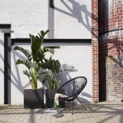 Capi Europe - Bloempot Vierkant Smooth NL - 50x50x50 - Zwart - Voor Binnen En Buiten - KBL904 -Tuinverzorgings Winkel 1200x1200 1002